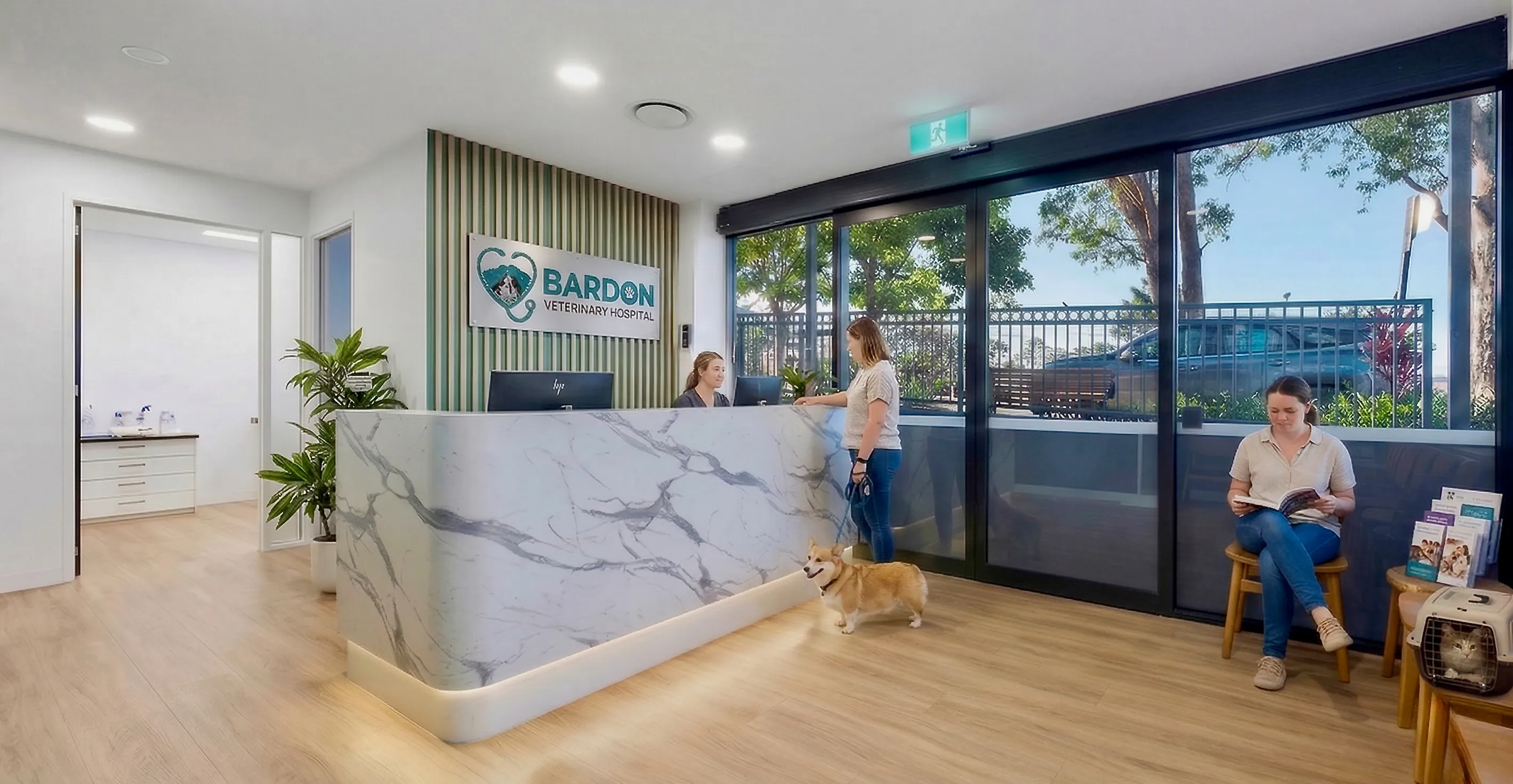 Bardon Veterinary Hospital Interior